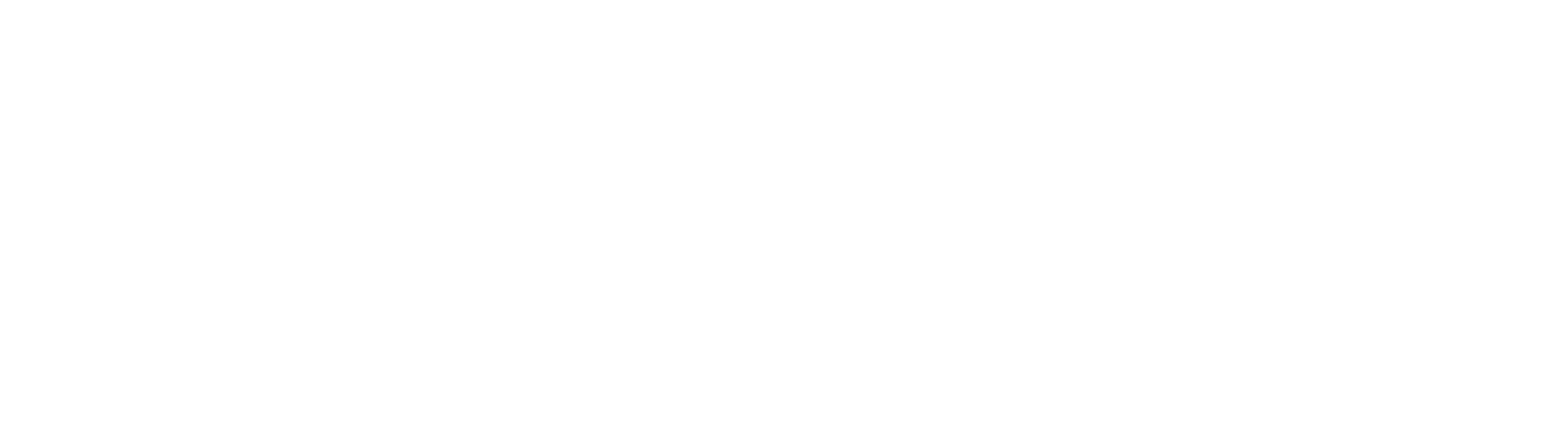 Wagner & Neumaier Logo